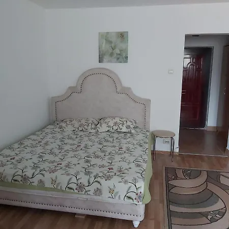 Apartment Metroudrumultaberei34tudorvladimirescuplaza Romania *